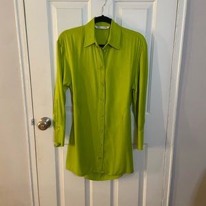 Zara Button Down Dress